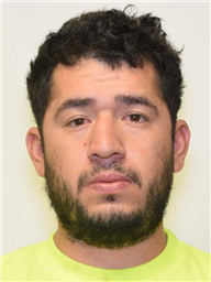 A man with short, curly hair and a beard is looking directly at the camera while wearing a bright yellow shirt.