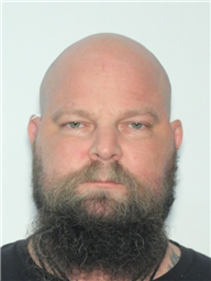 A close-up photograph of a man with a bald head and a thick beard, looking directly at the camera.