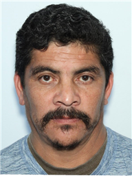 A man with dark, wavy hair and a thick mustache is looking directly at the camera.