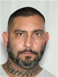 A close-up portrait of a bearded man with a tattoo on his neck and a serious expression.